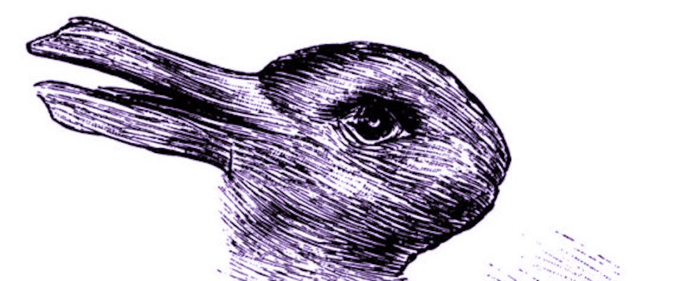 illusion d'optique : canard ou lapin